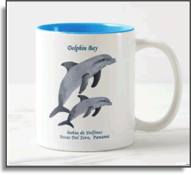 Dolphin Bay II - Island Art by Yotigo Mug